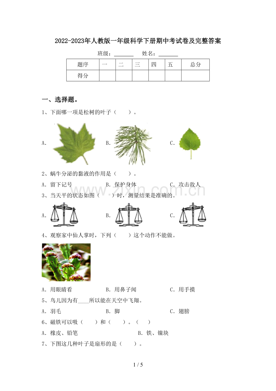 2022-2023年人教版一年级科学下册期中考试卷及完整答案.doc_第1页