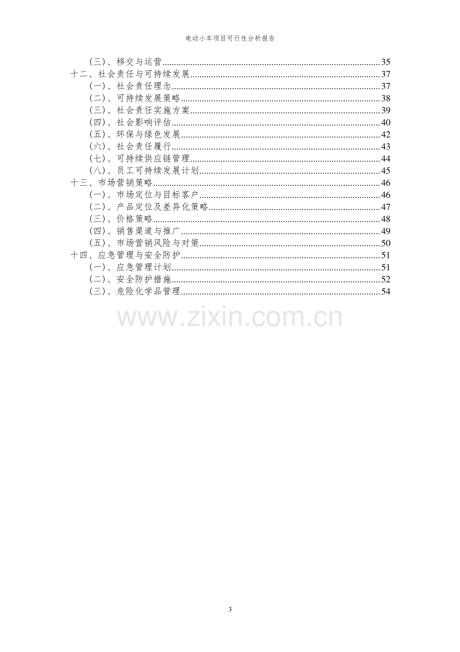 2023年电动小车项目可行性分析报告.docx_第3页