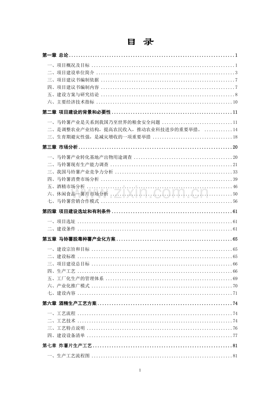 工业硅项目可行性论证报告(优秀可研报告).doc_第1页