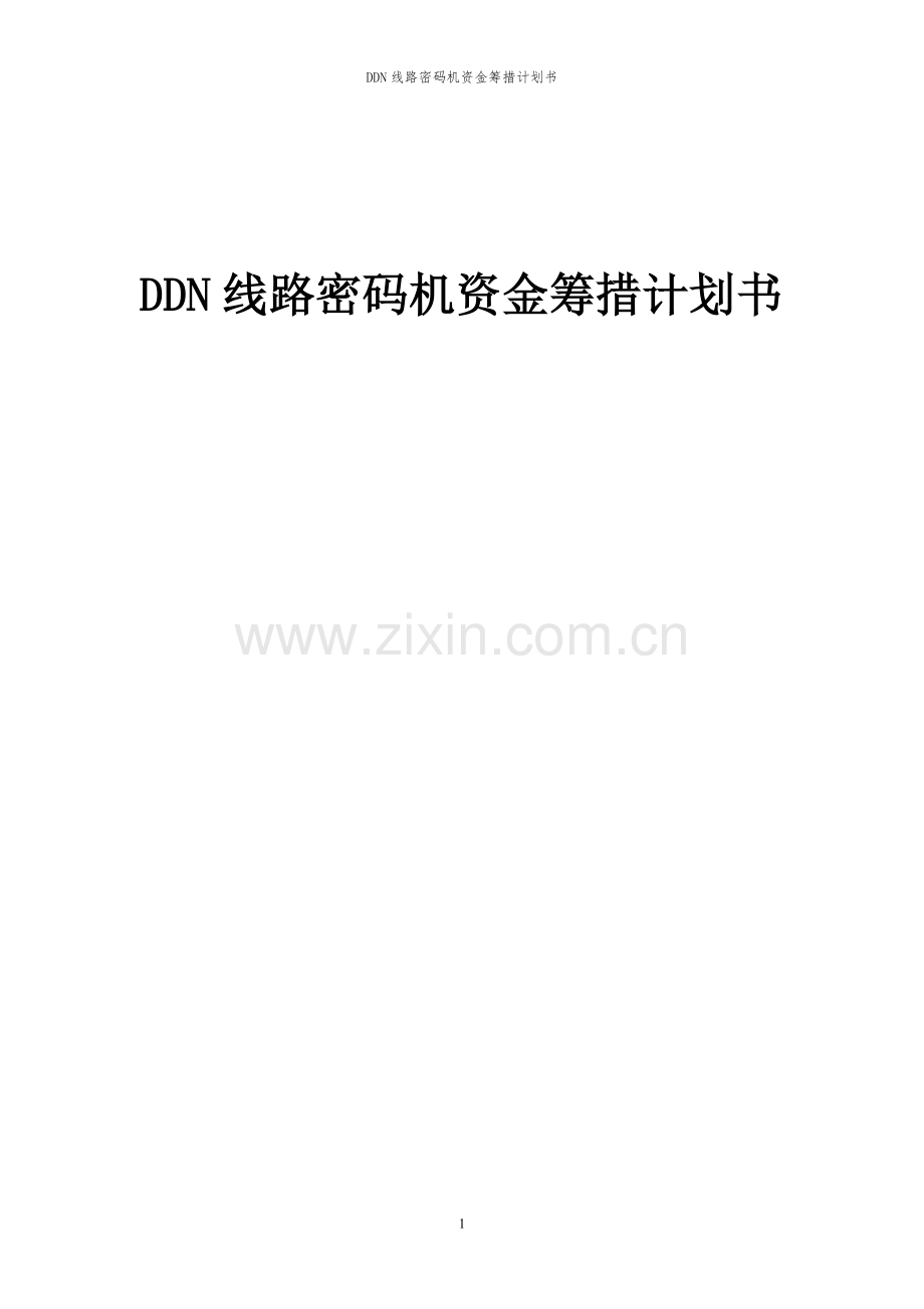 2024年DDN线路密码机项目资金筹措计划书.docx_第1页