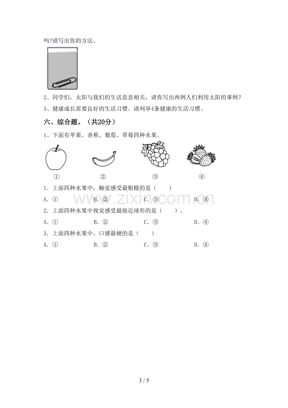 二年级科学下册期中考试卷及答案【学生专用】.doc_第3页