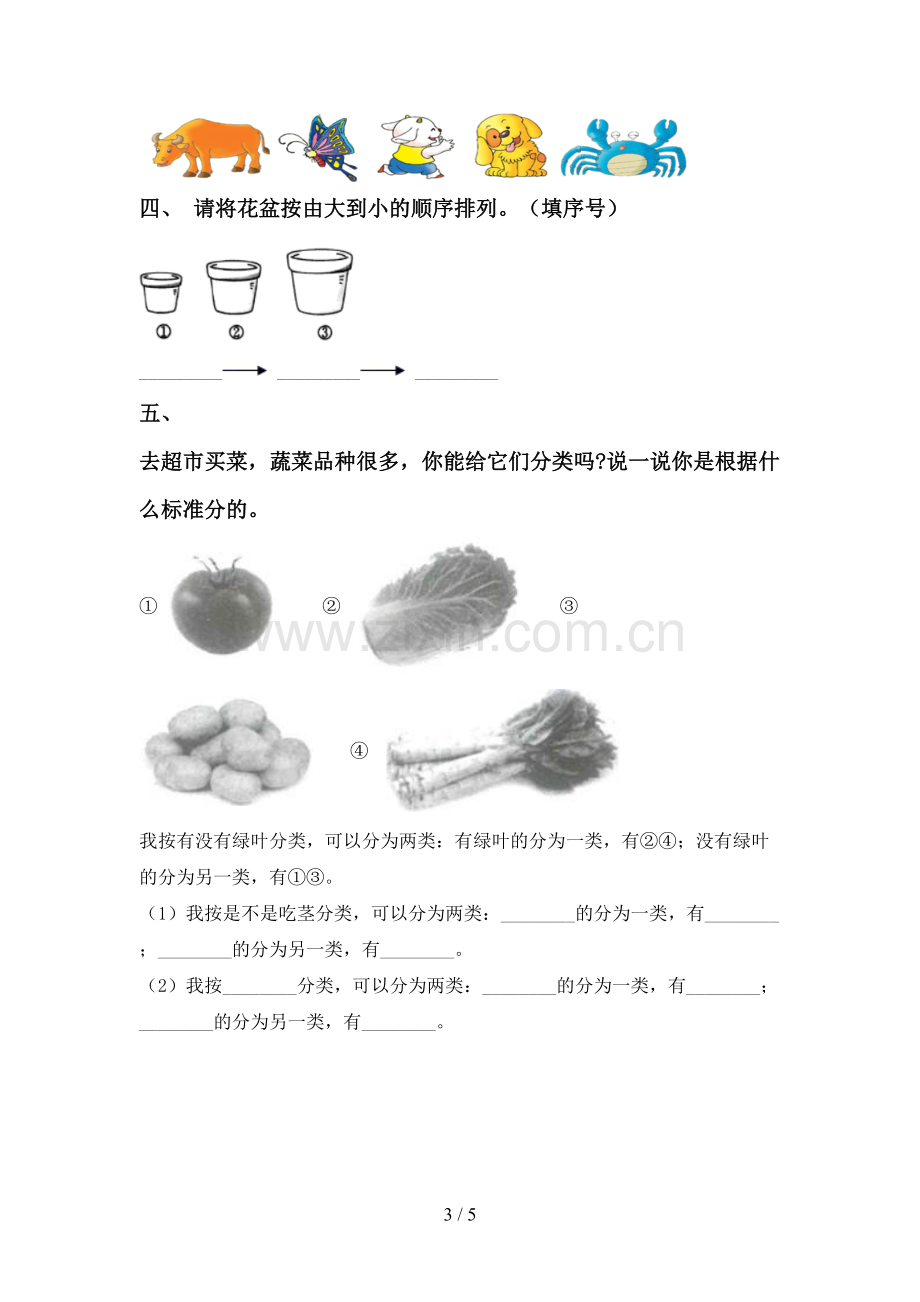 2023年人教版一年级科学下册期中考试卷(附答案).doc_第3页