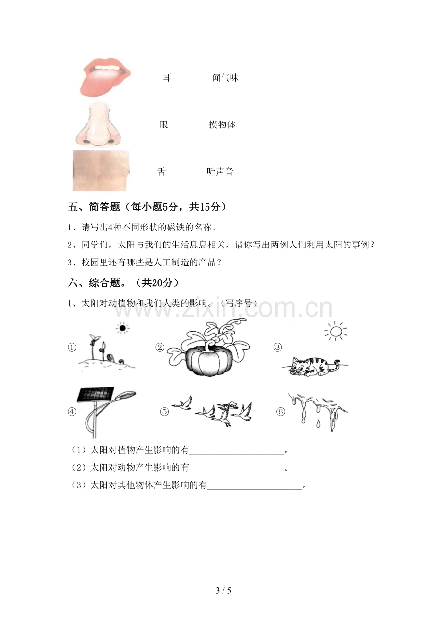 2023年教科版二年级科学下册期中考试卷及答案【各版本】.doc_第3页