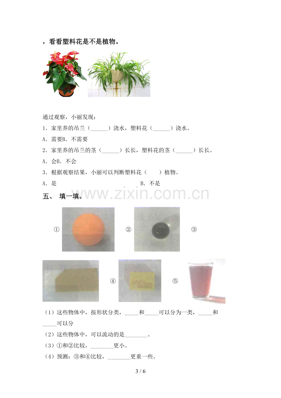 2022-2023年人教版一年级科学下册期中考试题及答案.doc_第3页