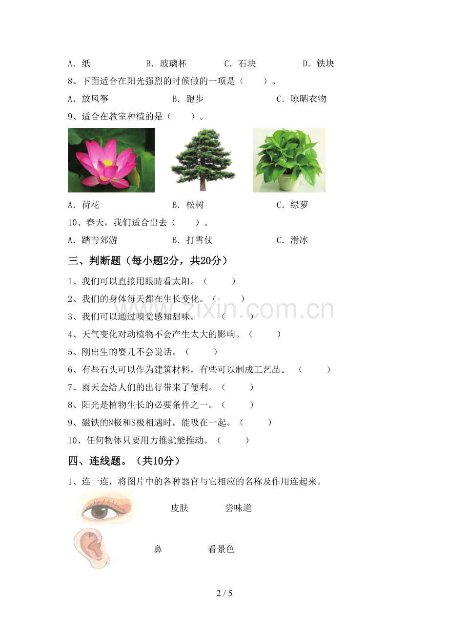 苏教版二年级科学下册期中测试卷(各版本).doc_第2页