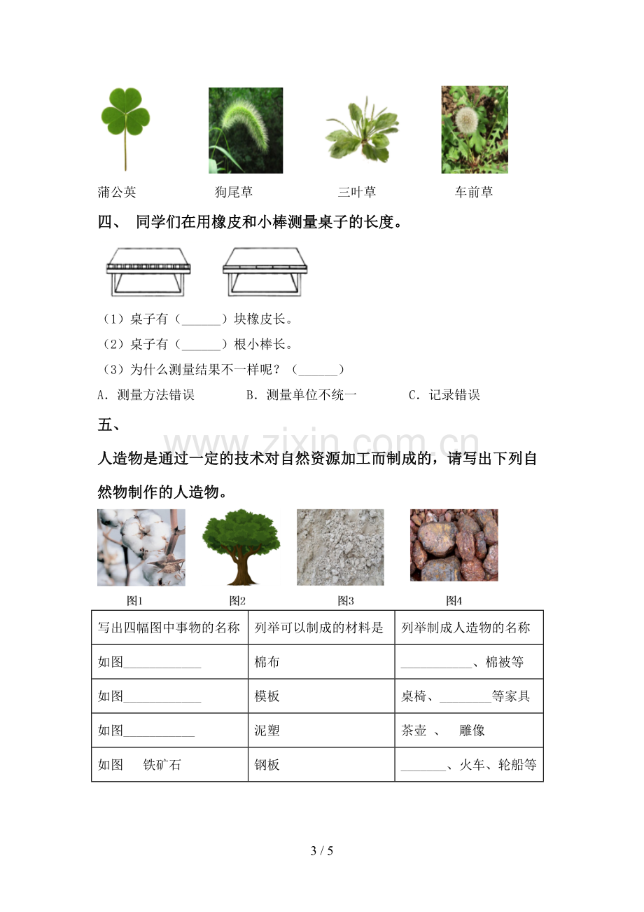 2023年教科版一年级科学下册期中考试卷(A4打印版).doc_第3页