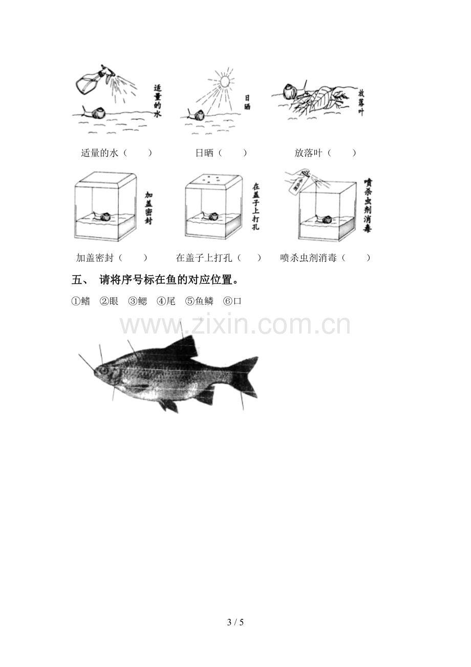 2022-2023年人教版一年级科学下册期中测试卷及答案【全面】.doc_第3页