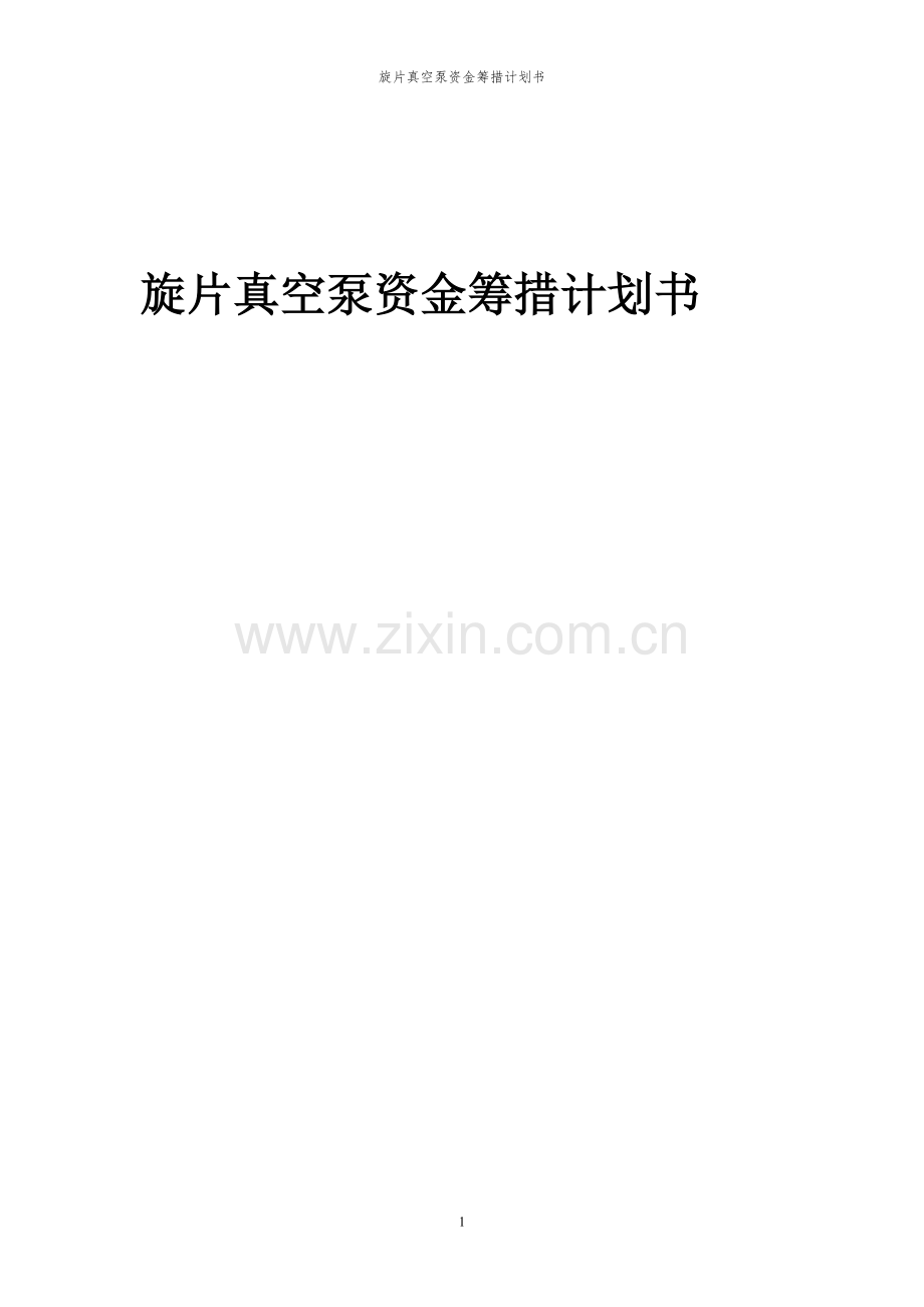 2024年旋片真空泵项目资金筹措计划书.docx_第1页