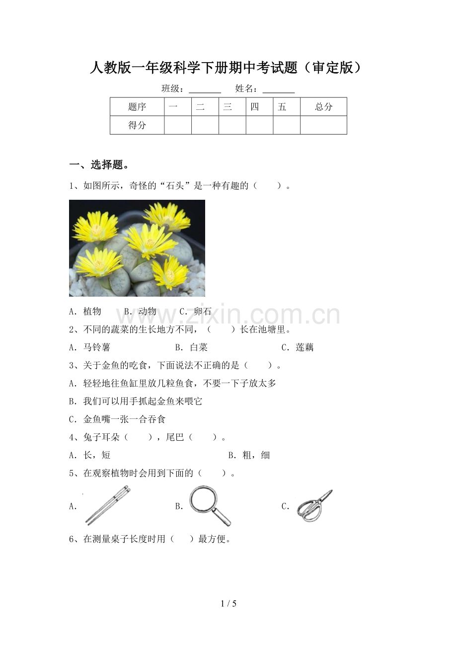 人教版一年级科学下册期中考试题(审定版).doc_第1页