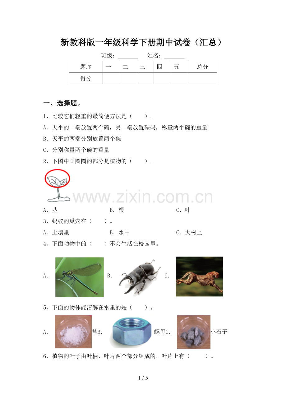 新教科版一年级科学下册期中试卷(汇总).doc_第1页