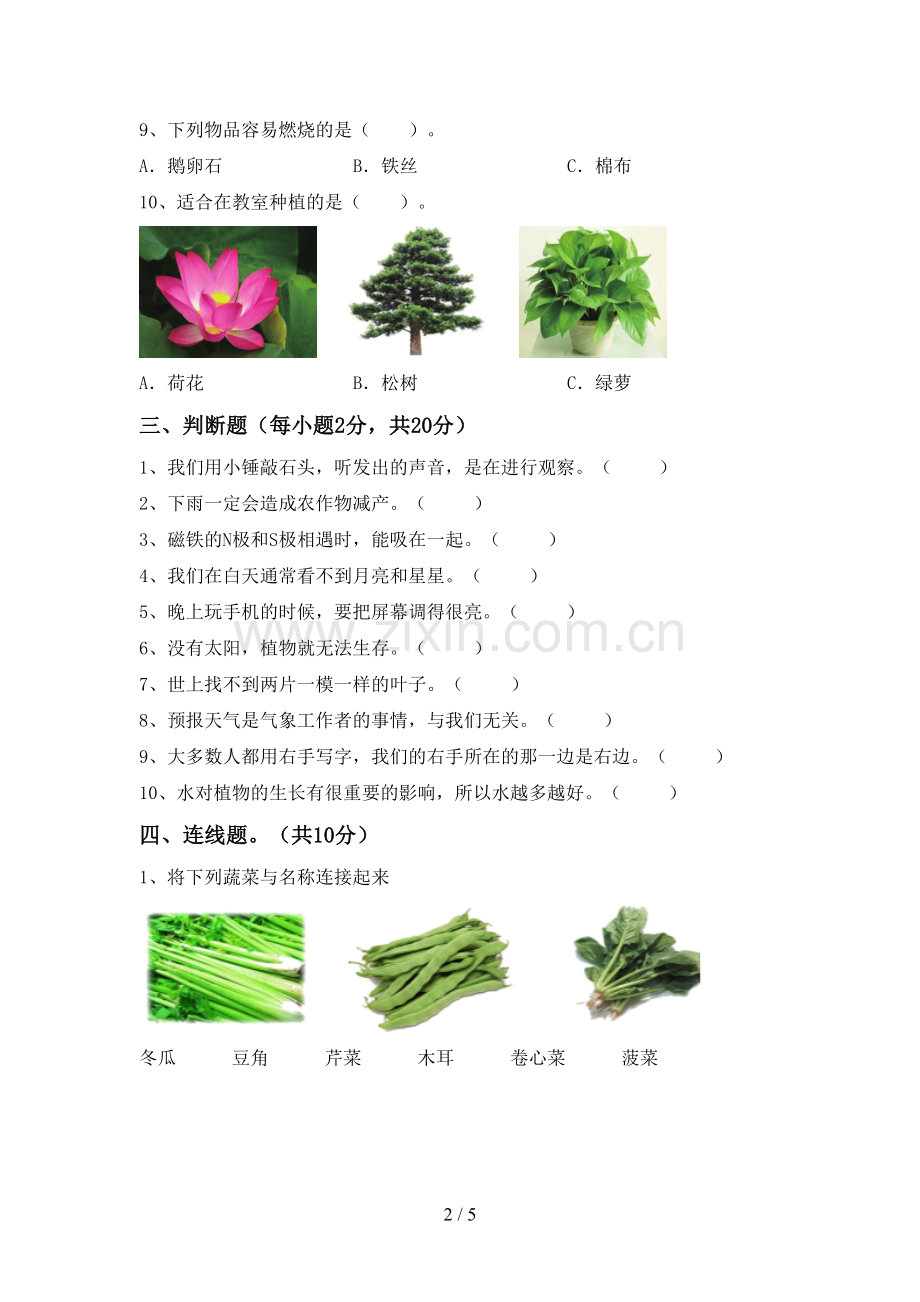 新人教版二年级科学下册期中考试卷(各版本).doc_第2页