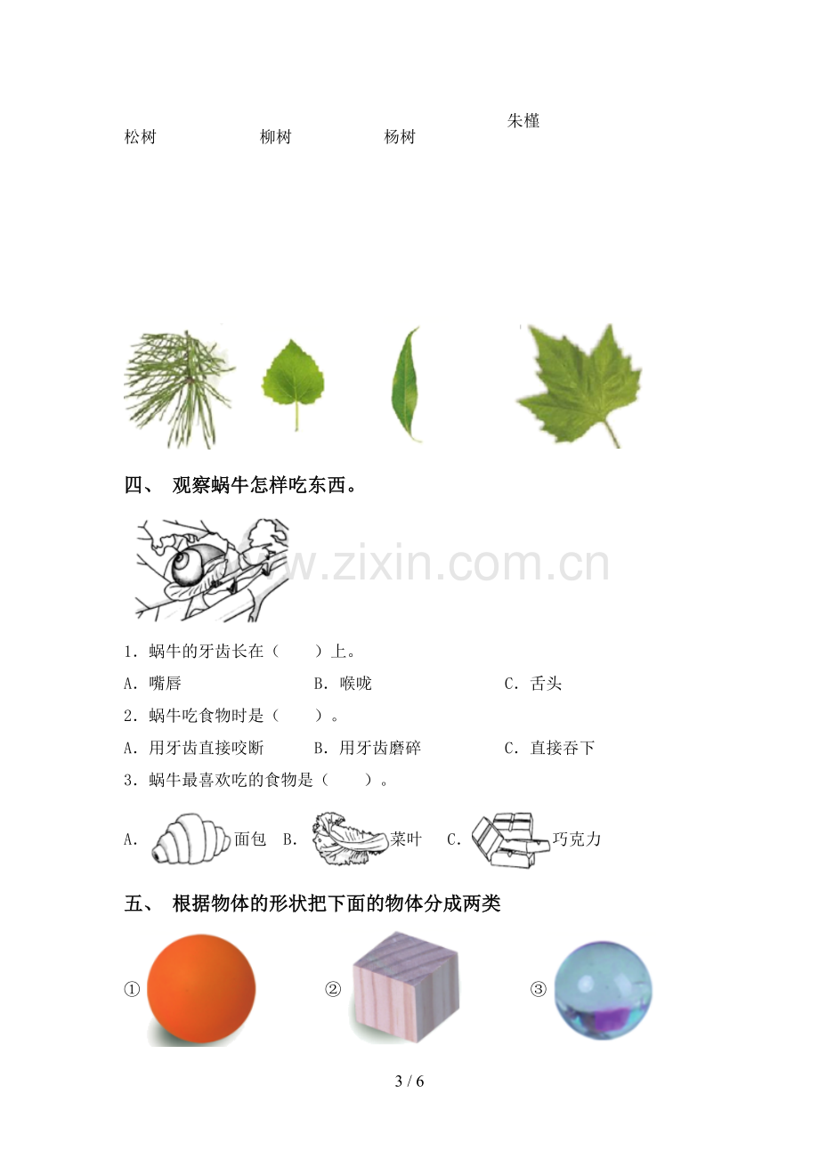 2023年教科版一年级科学下册期中考试题及答案【各版本】.doc_第3页