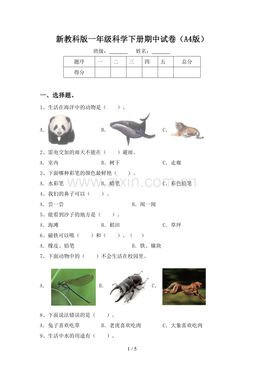 新教科版一年级科学下册期中试卷(A4版).doc_第1页