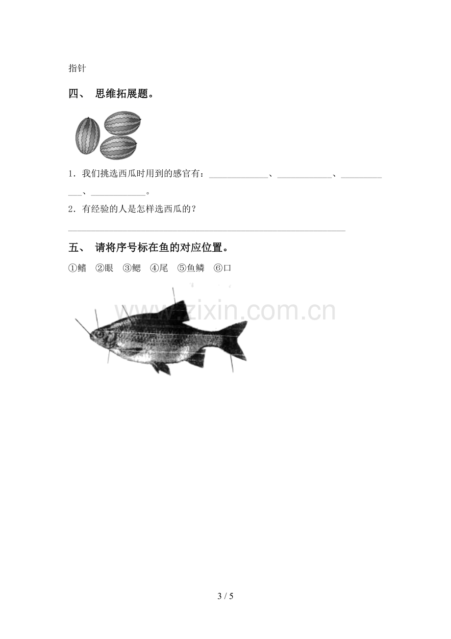 2023年教科版一年级科学下册期中测试卷及答案.doc_第3页