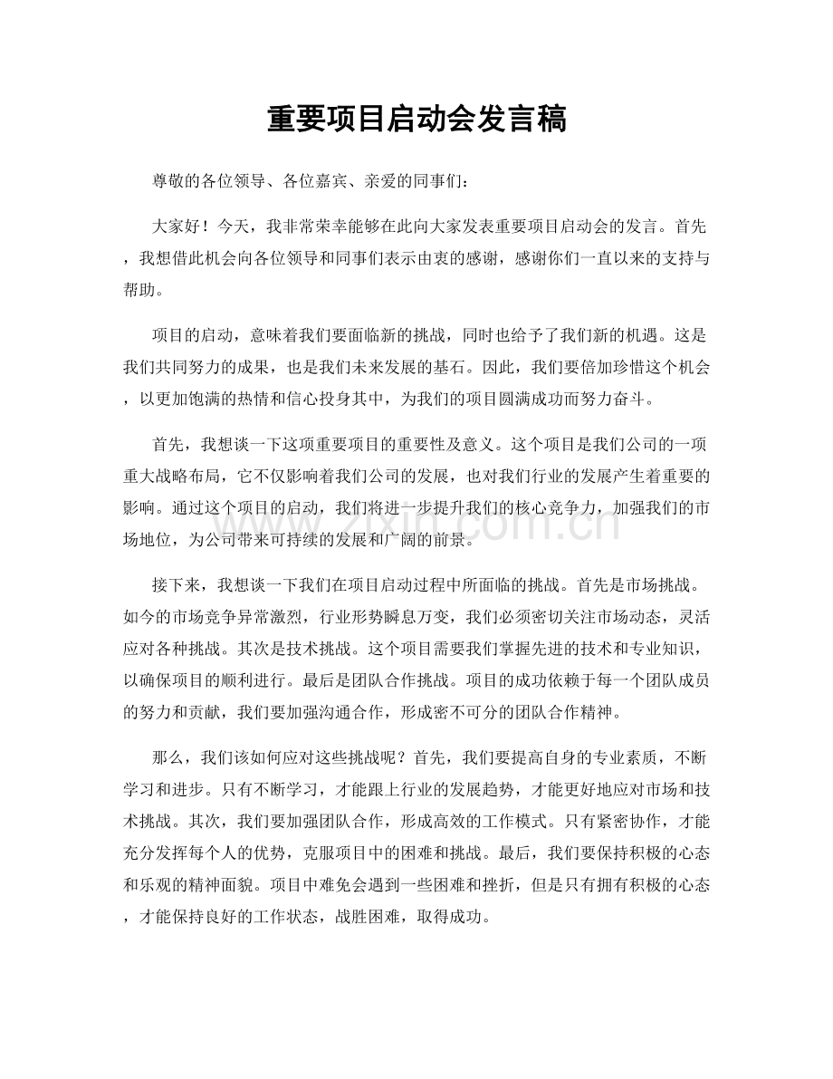 重要项目启动会发言稿.docx_第1页