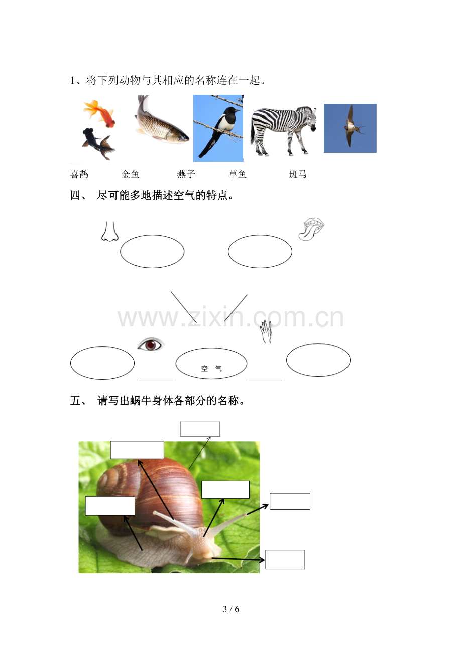 2023年教科版一年级科学下册期中试卷及答案【真题】.doc_第3页