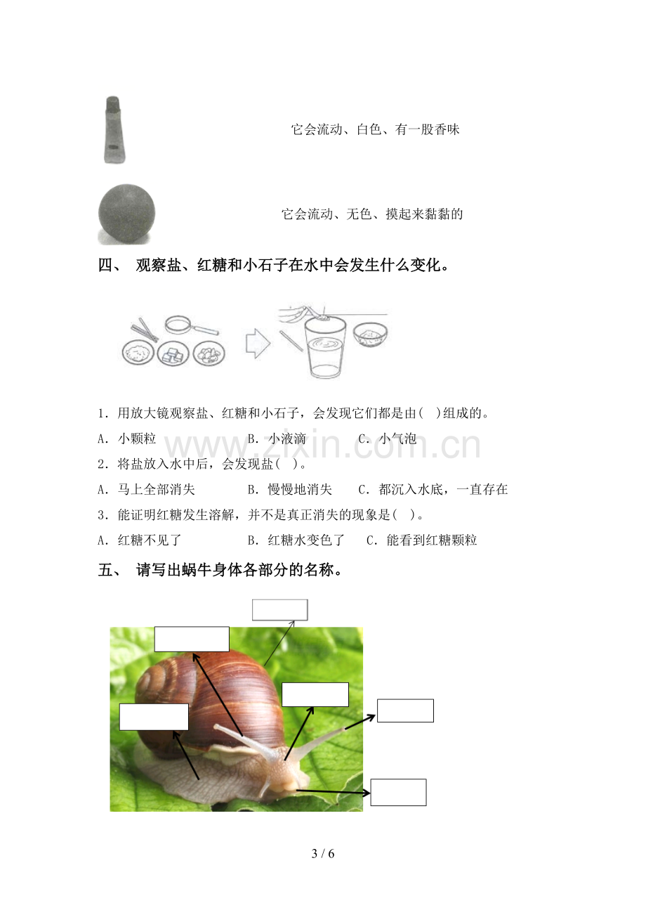 苏教版一年级科学下册期中考试卷(审定版).doc_第3页