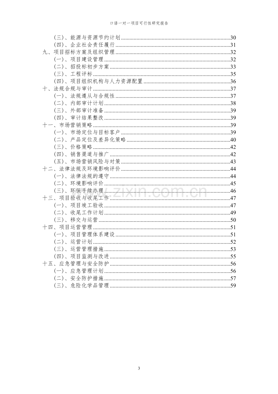 2024年口语一对一项目可行性研究报告材料.docx_第3页