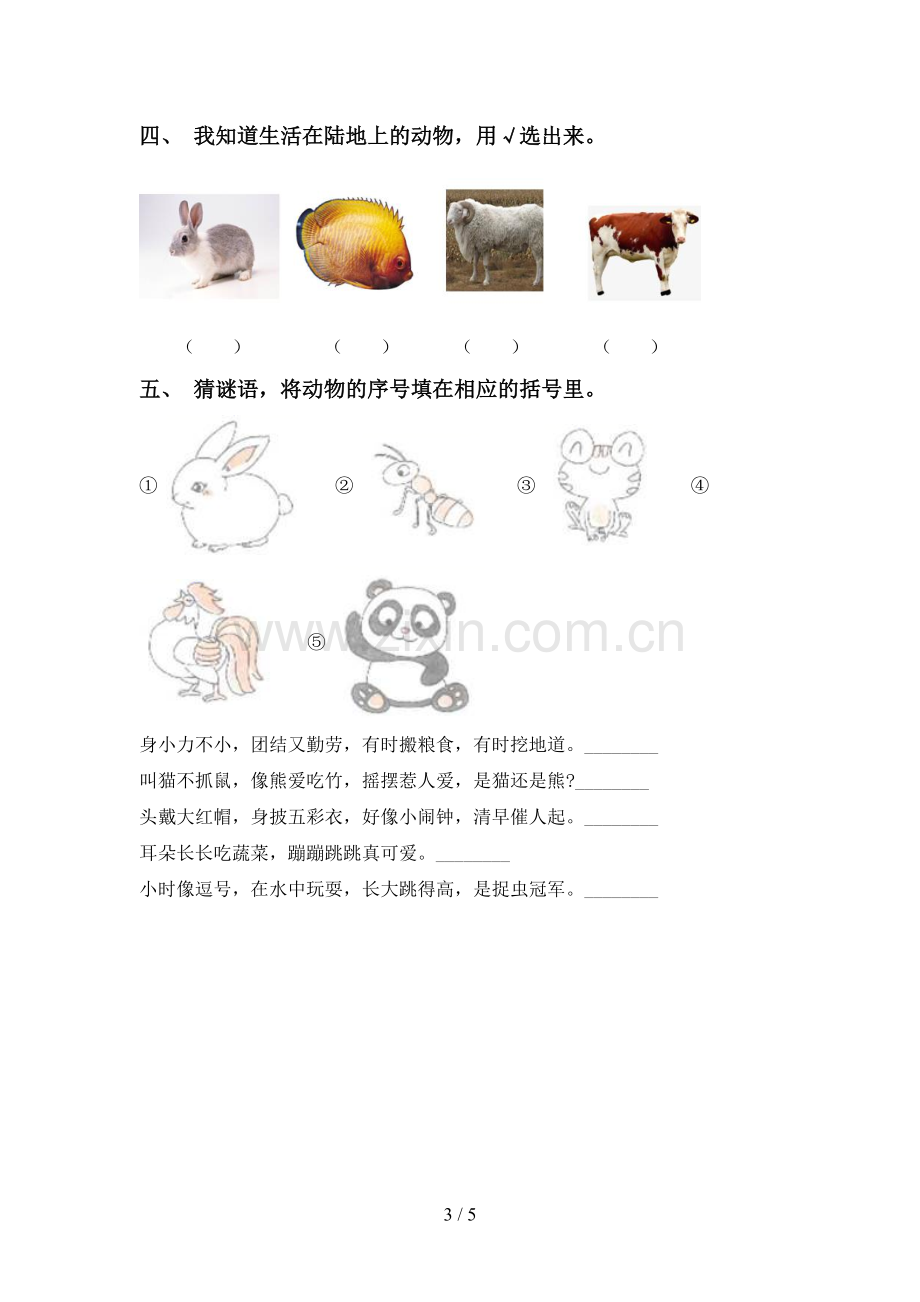 苏教版一年级科学下册期中测试卷(汇编).doc_第3页