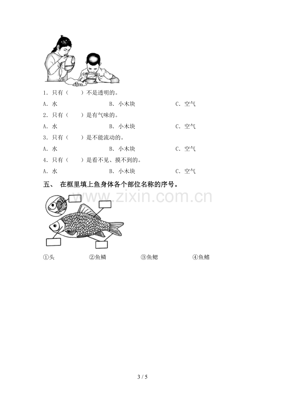 人教版一年级科学下册期中测试卷及答案【汇总】.doc_第3页