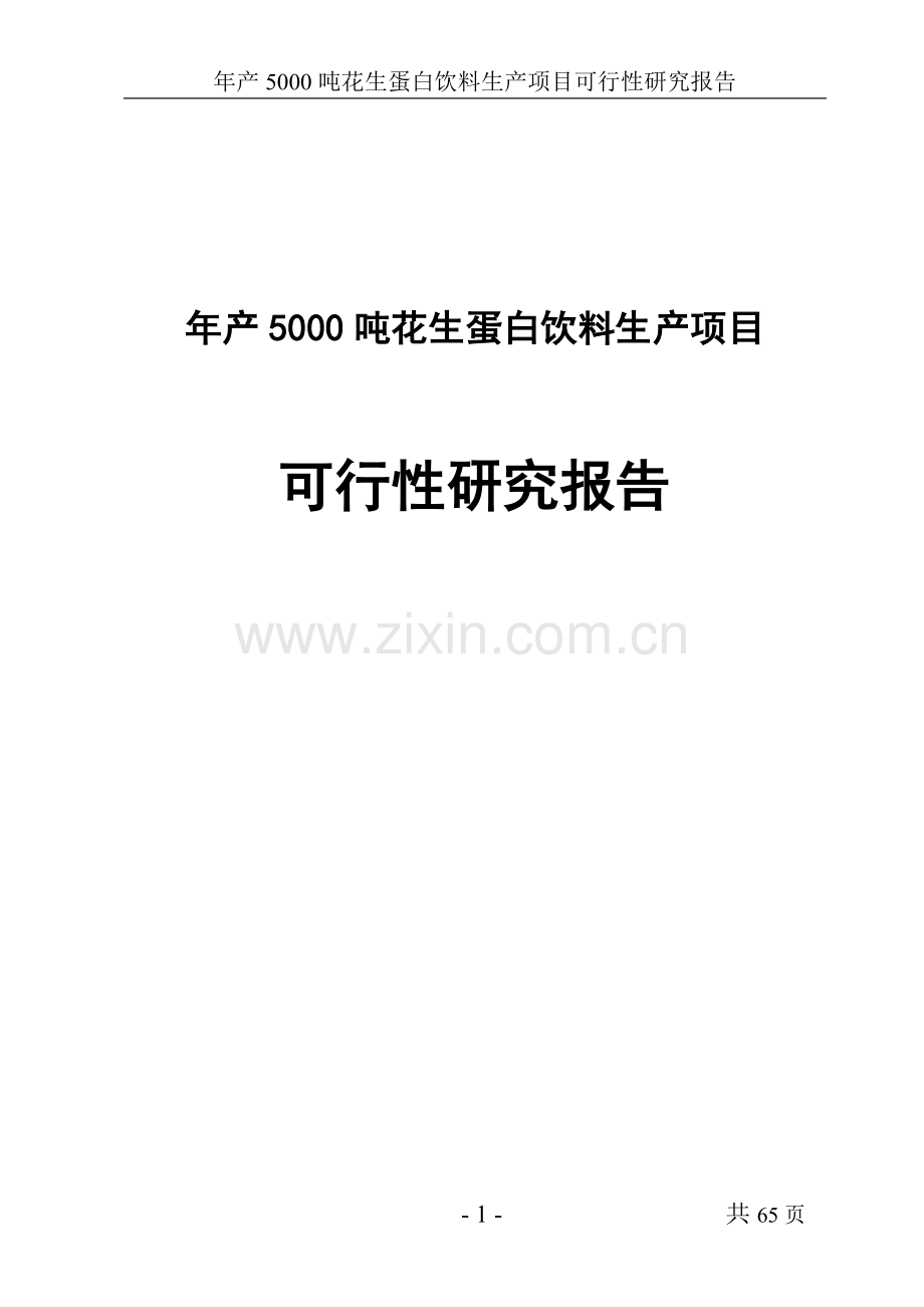 年产5000吨花生蛋白饮料生产项目可行性分析报告.doc_第1页