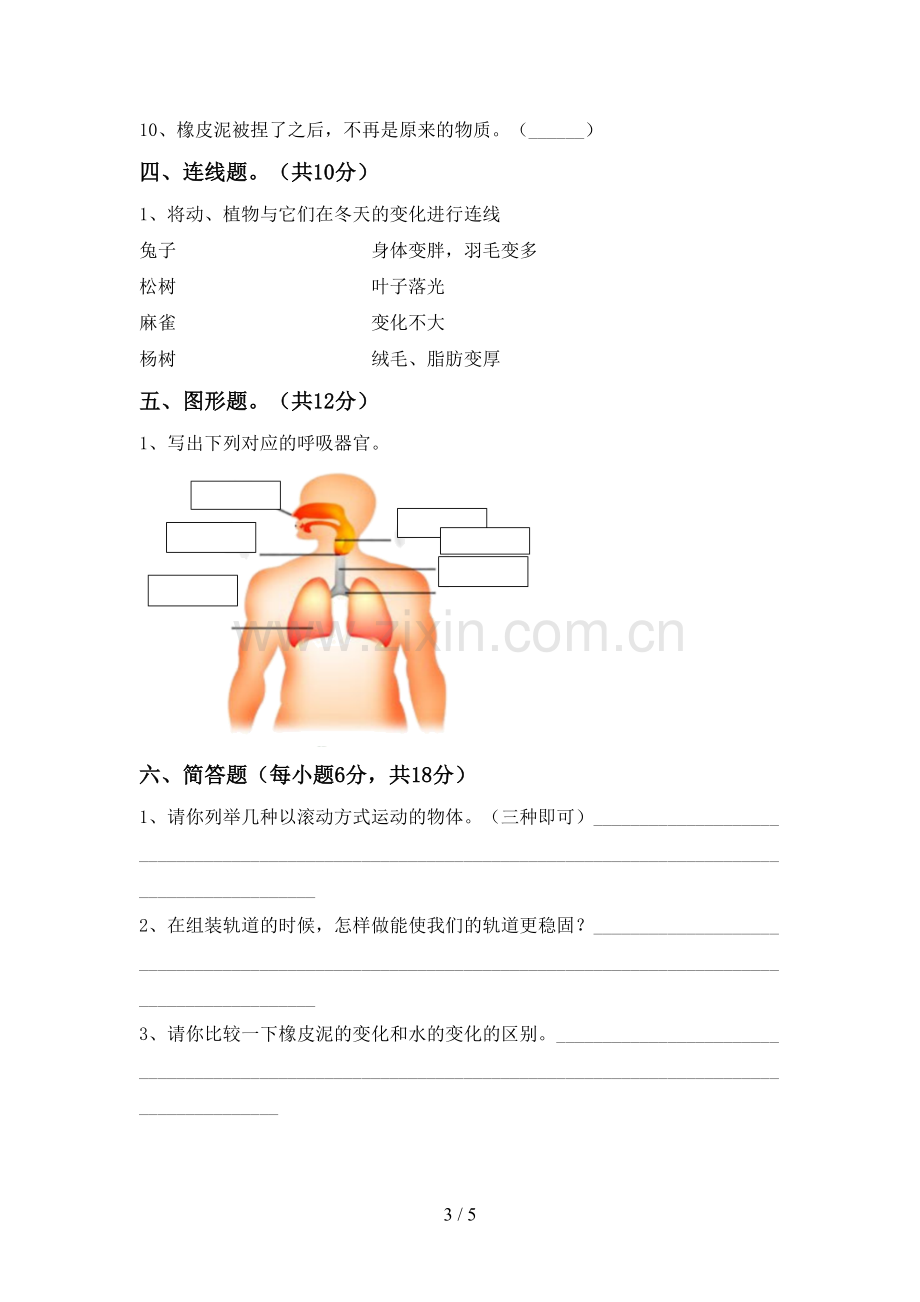 2023年教科版三年级科学下册期中测试卷及答案【一套】.doc_第3页