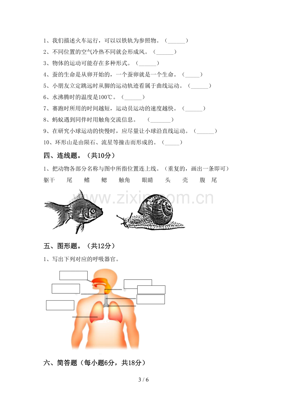 教科版三年级科学下册期中试卷(精编).doc_第3页