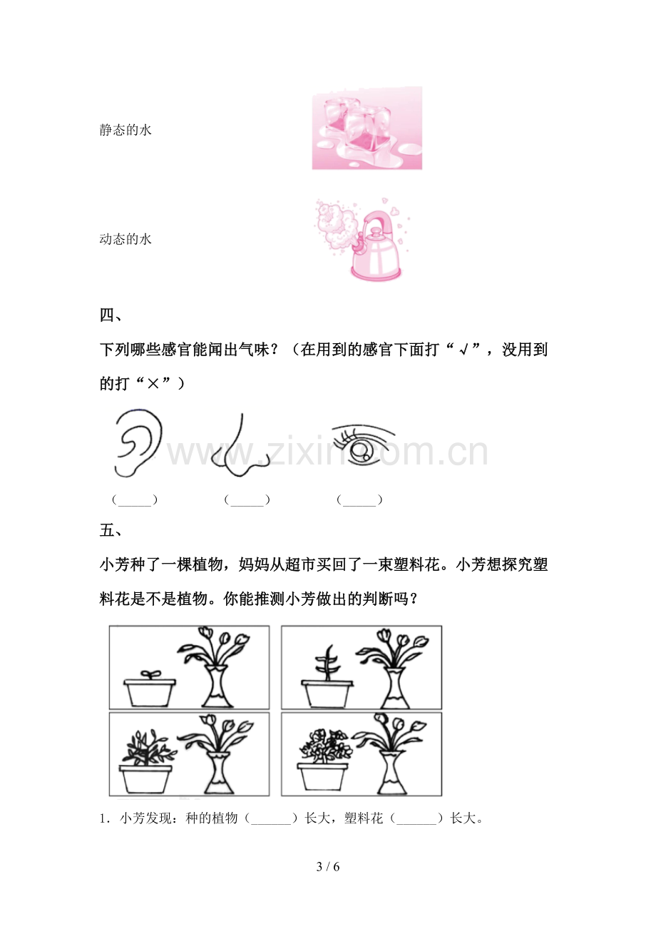 苏教版一年级科学下册期中测试卷【加答案】.doc_第3页