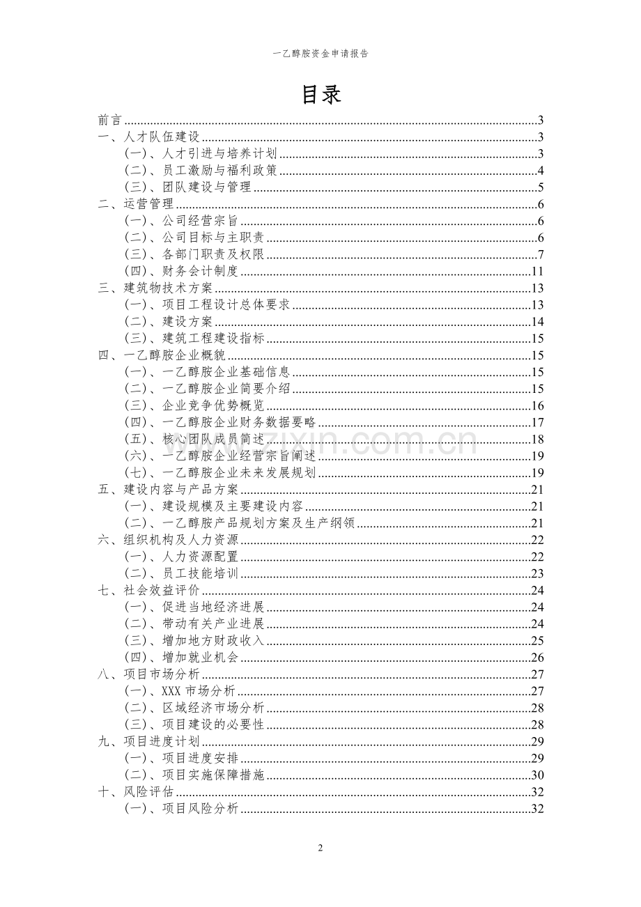 2024年一乙醇胺项目资金申请报告.docx_第2页