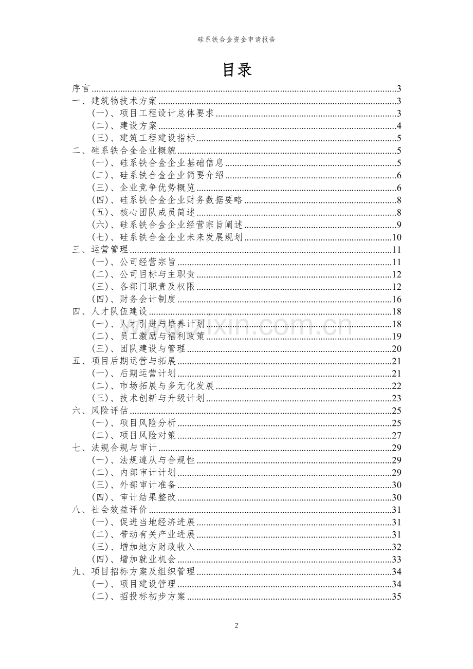 2023年硅系铁合金项目资金申请报告.docx_第2页