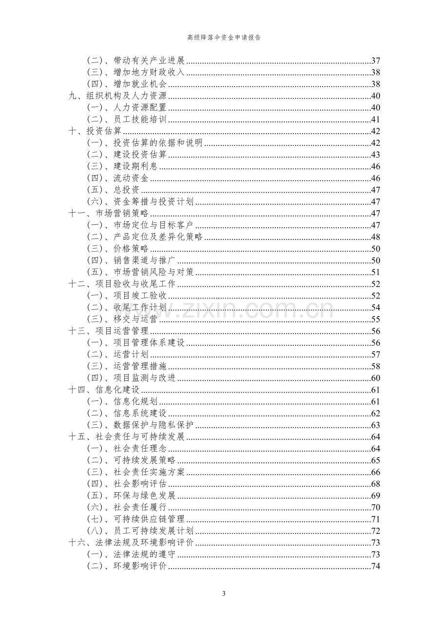 2024年高级降落伞项目资金申请报告.docx_第3页