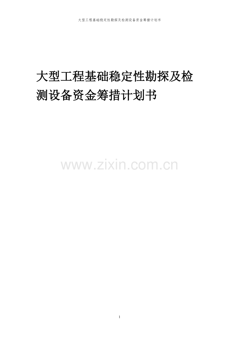 2023年大型工程基础稳定性勘探及检测设备项目资金筹措计划书.docx_第1页