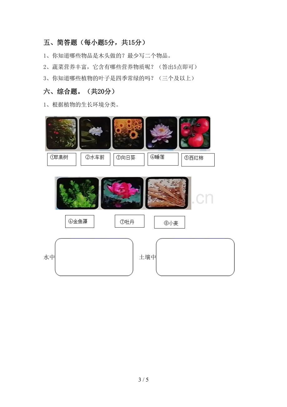 2023年人教版二年级科学下册期中考试题(加答案).doc_第3页