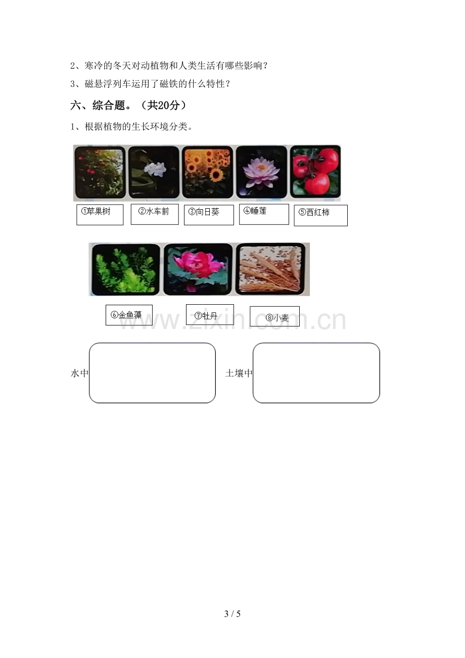 教科版二年级科学下册期中考试卷及答案下载.doc_第3页