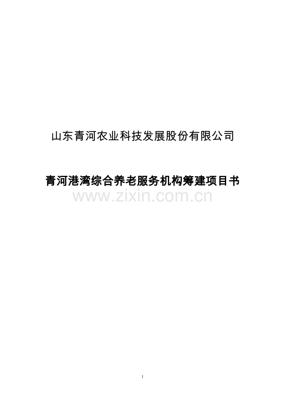 综合养老服务机构筹建项目可行性分析论证研究报告.doc_第1页