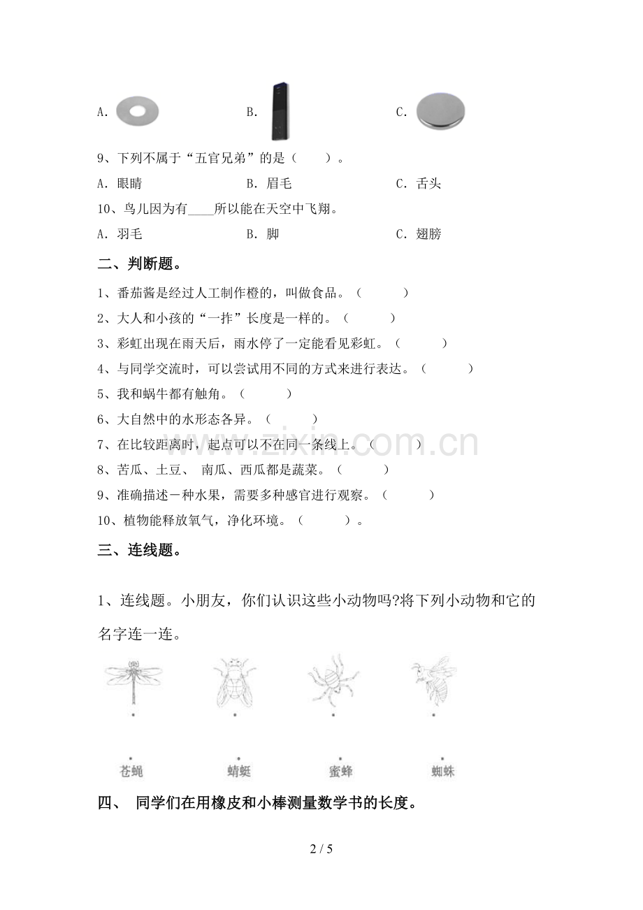 2023年教科版一年级科学下册期中考试题.doc_第2页