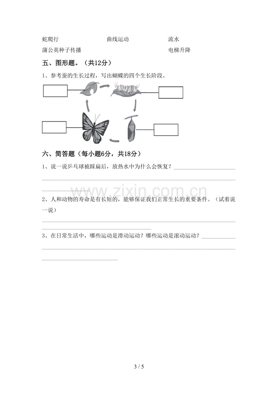 人教版三年级科学下册期中测试卷(下载).doc_第3页