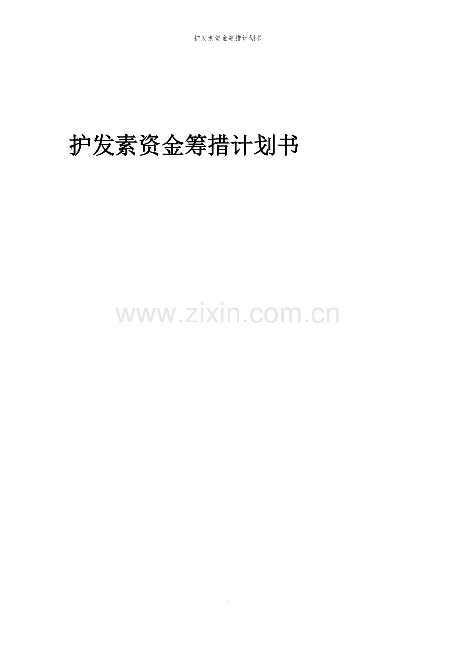 2024年护发素项目资金筹措计划书.docx_第1页