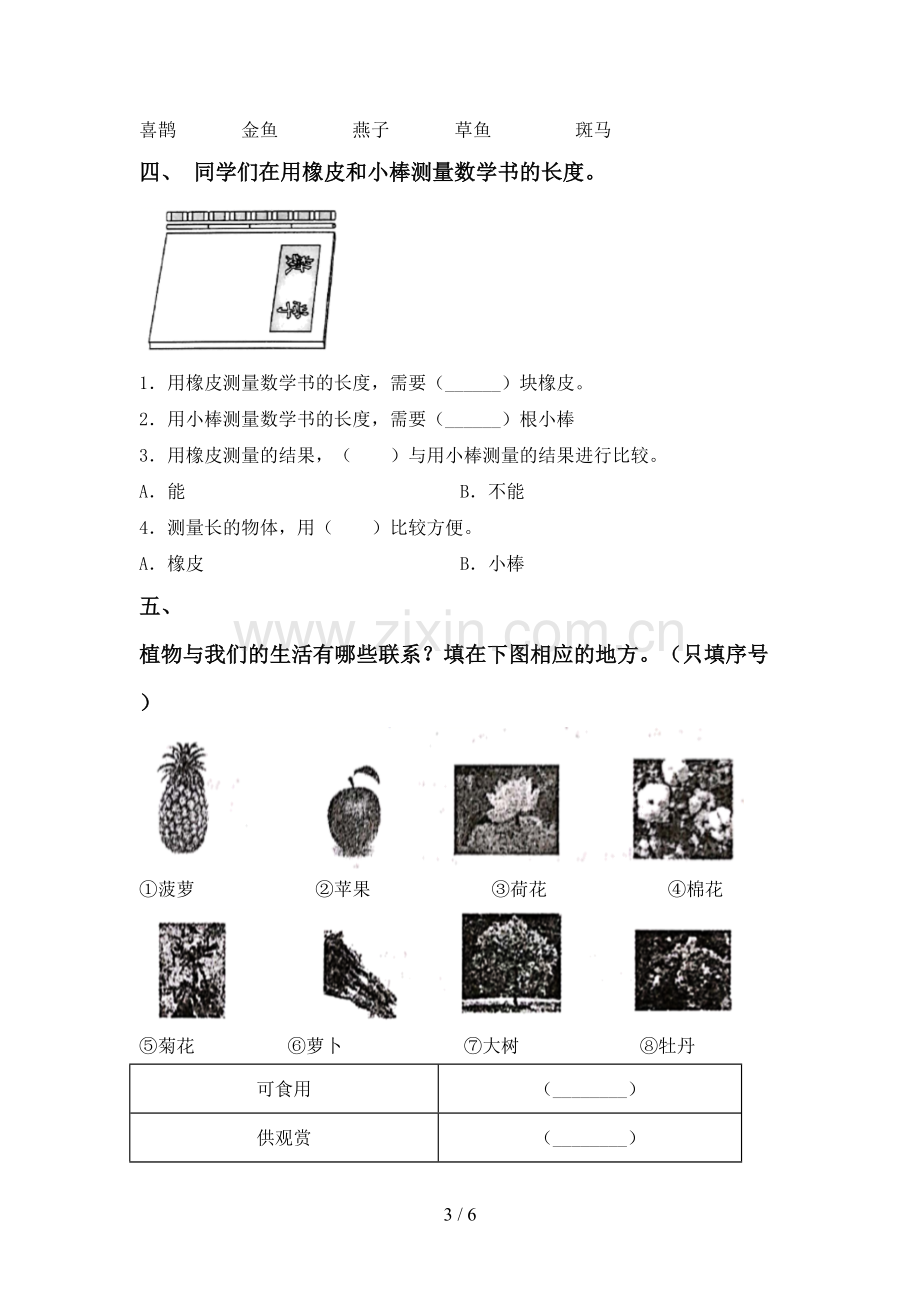 一年级科学下册期中试卷【含答案】.doc_第3页