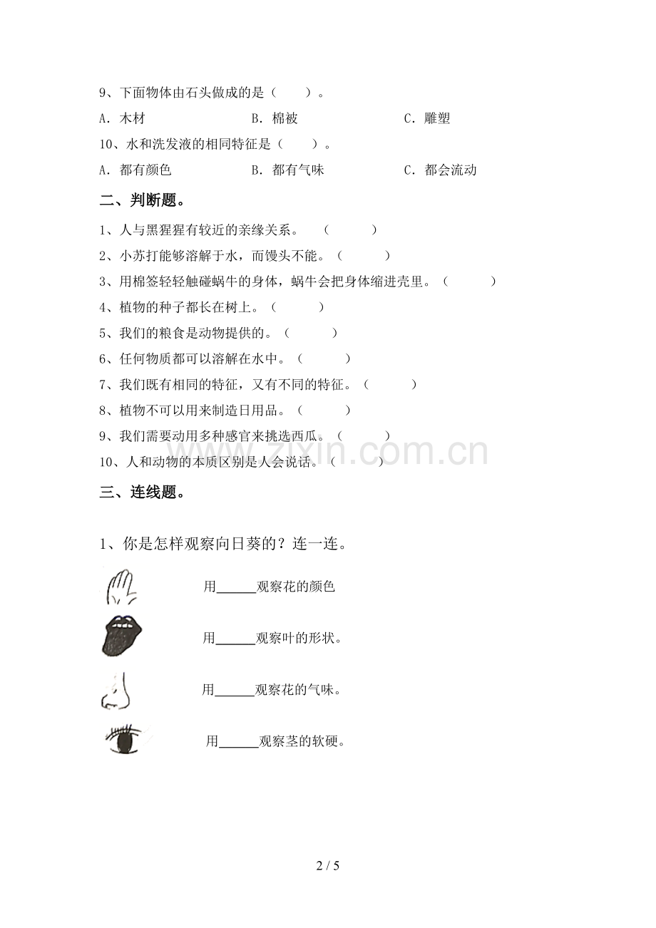 2023年教科版一年级科学下册期中考试题及答案【学生专用】.doc_第2页