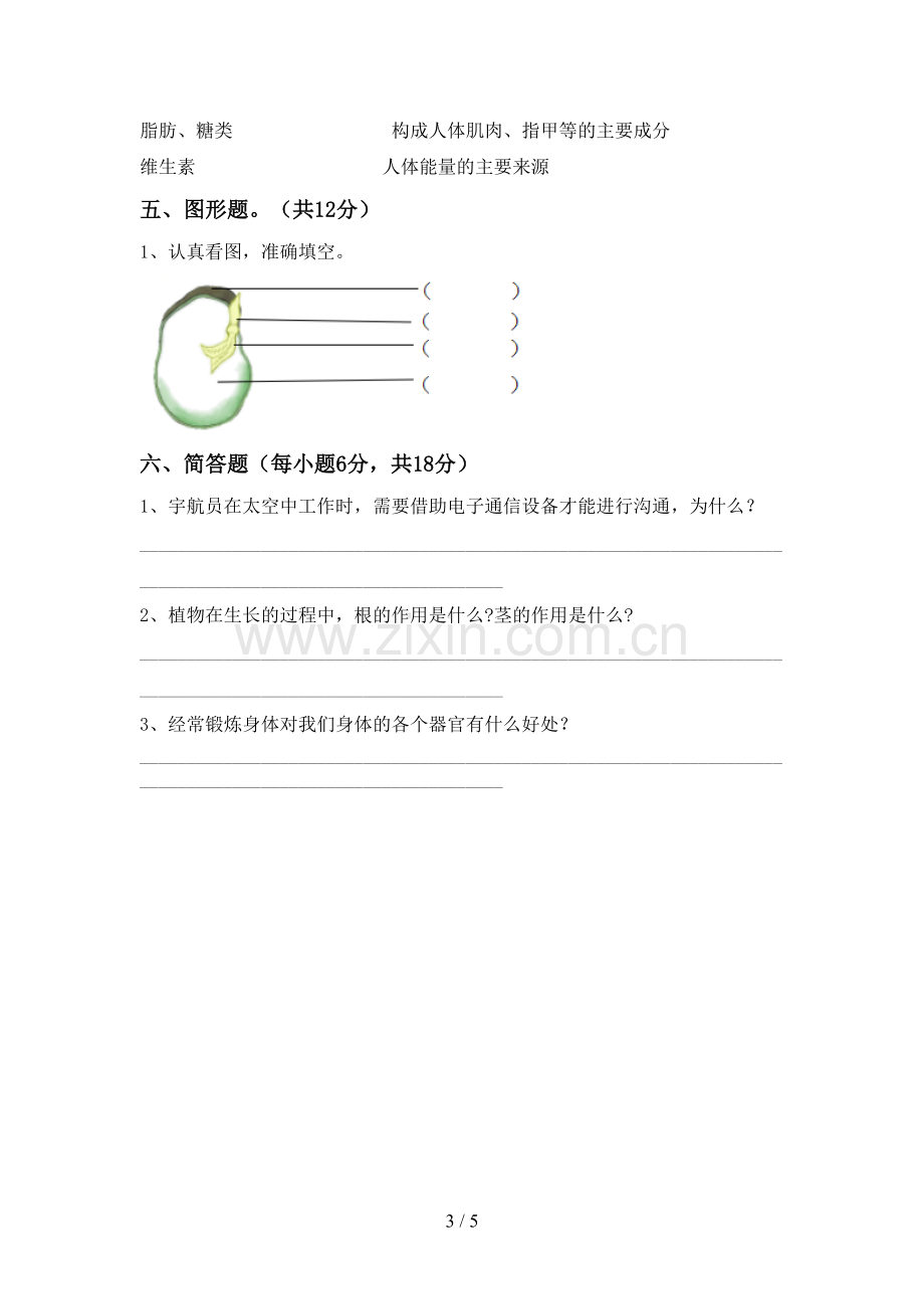 新教科版四年级科学下册期中试卷(各版本).doc_第3页