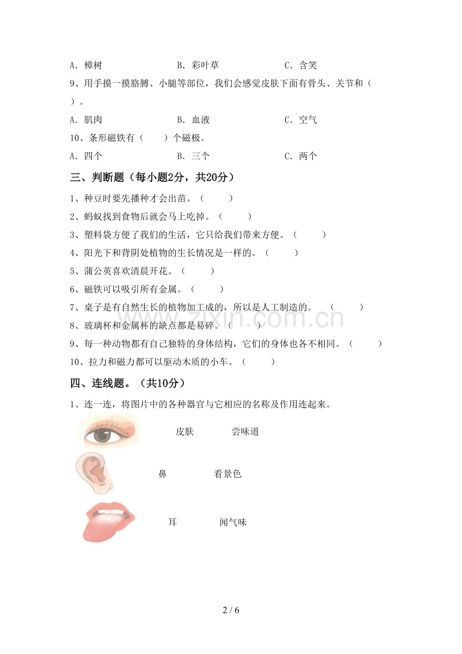 2022-2023年教科版二年级科学下册期中测试卷(新版).doc_第2页