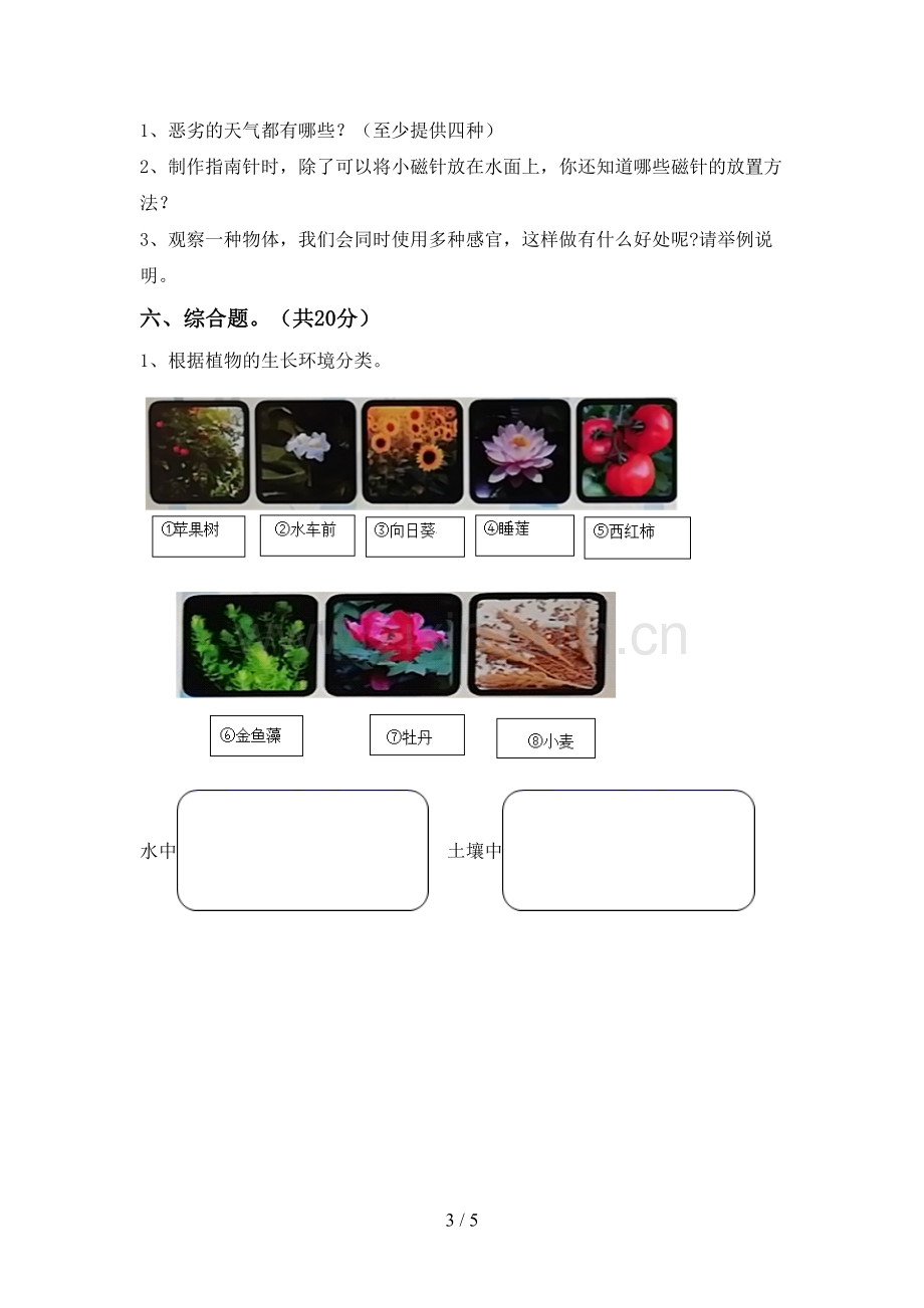 人教版二年级科学下册期中试卷【含答案】.doc_第3页