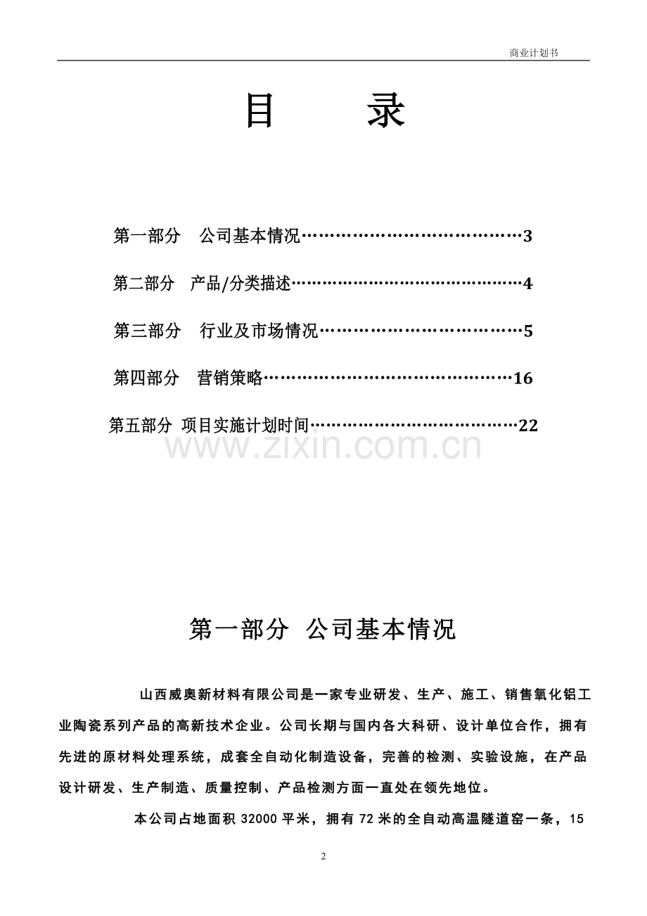 填料球网络销售推广可行性论证报告.doc_第2页