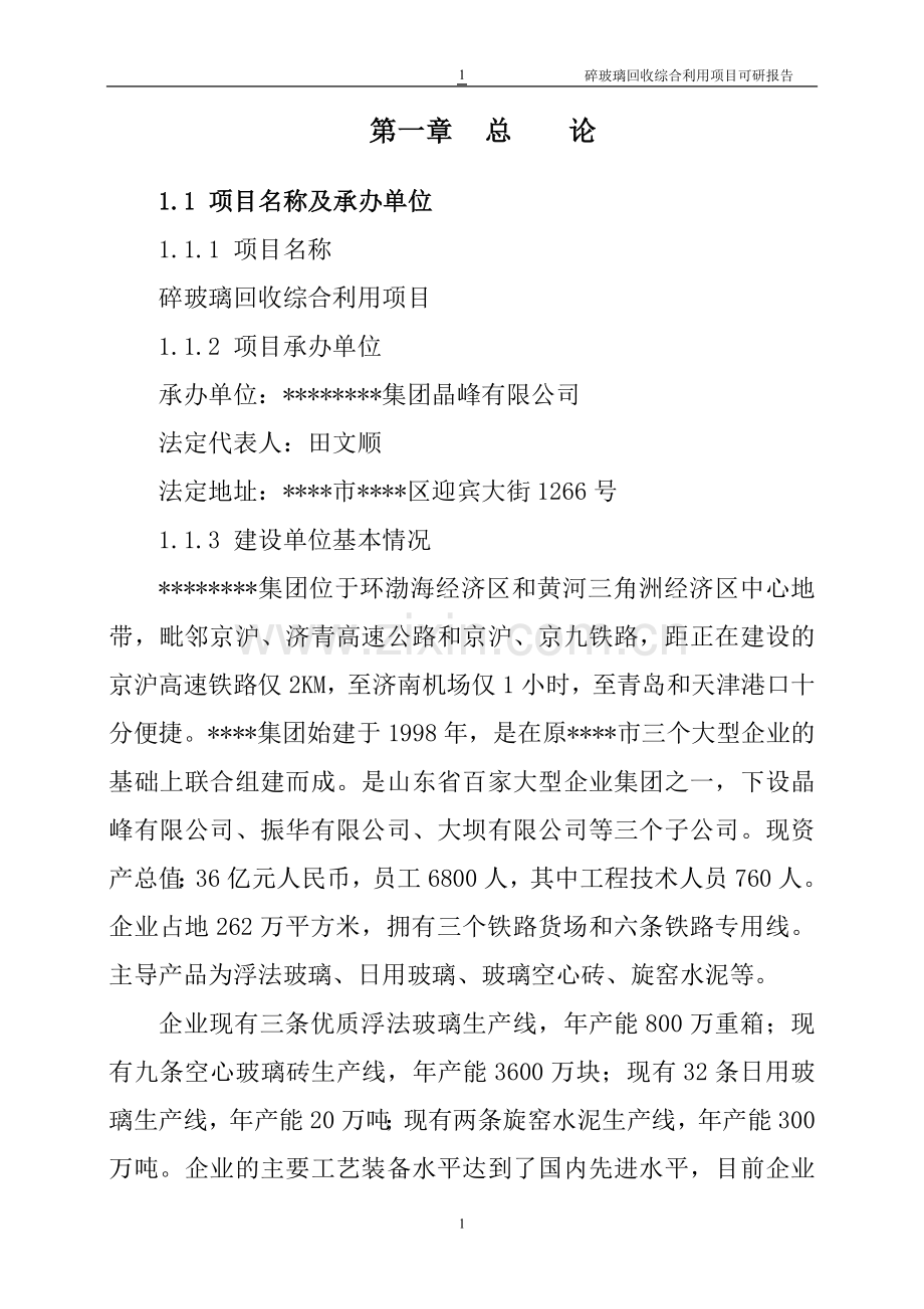 碎玻璃回收综合利用项目可行性论证报告-word版本.doc_第1页