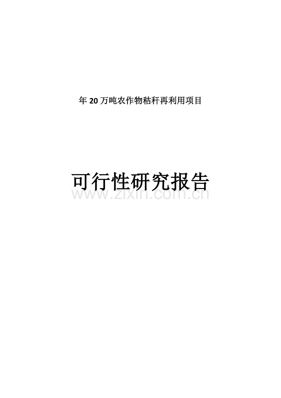 年产20万吨农作物秸秆再利用项目可行性分析报告.doc_第1页