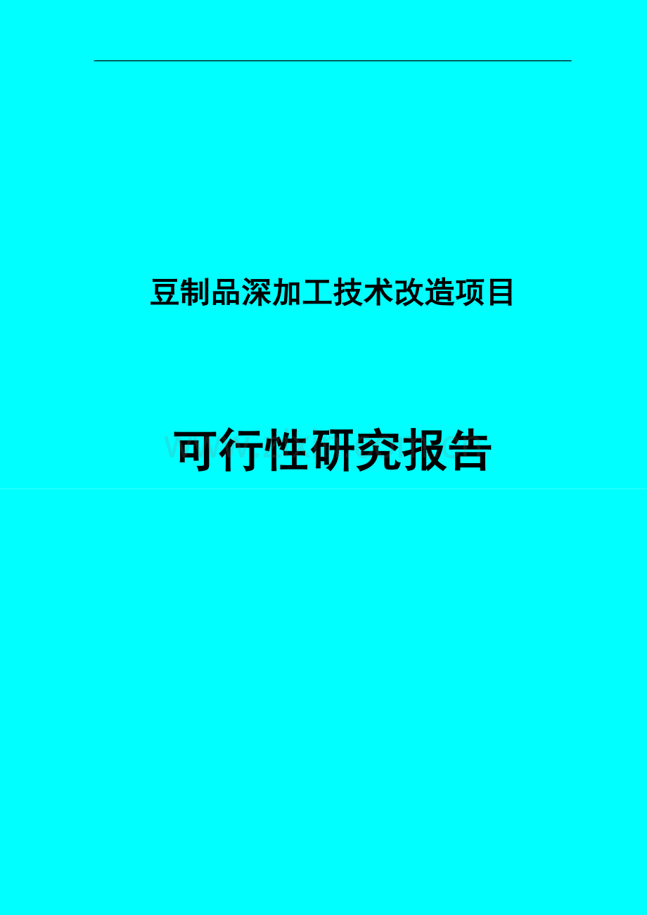 豆制品深加工技术改造项目可行性分析报告定稿.doc_第1页