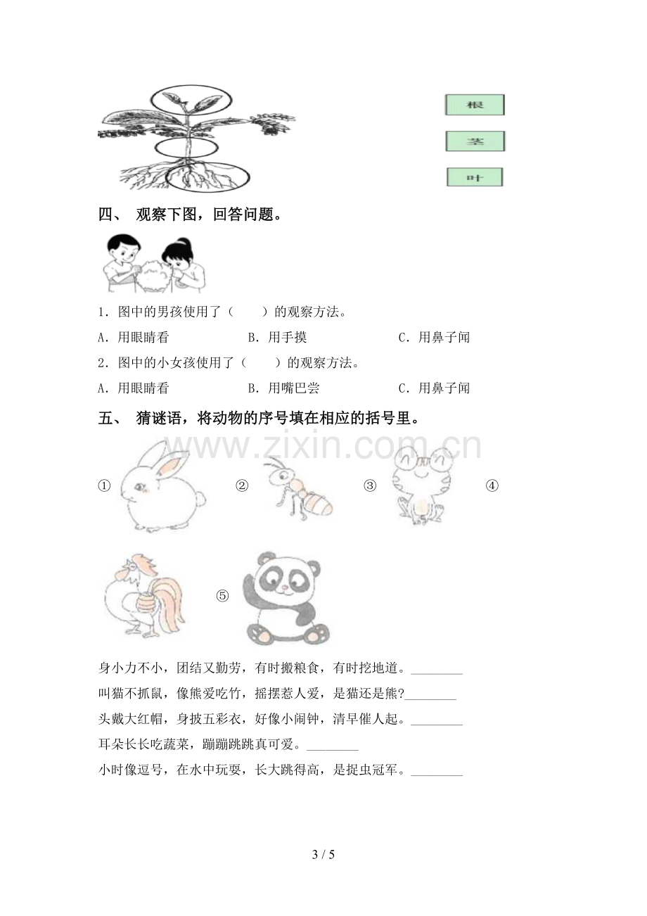 2022-2023年教科版一年级科学下册期中测试卷及答案【A4打印版】.doc_第3页