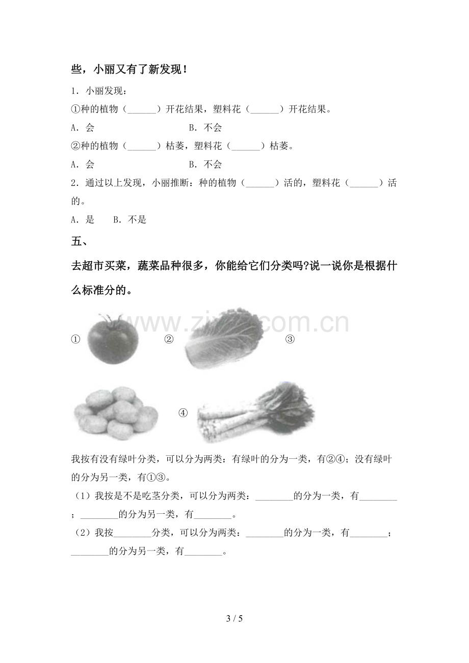 新教科版一年级科学下册期中考试题及答案【1套】.doc_第3页