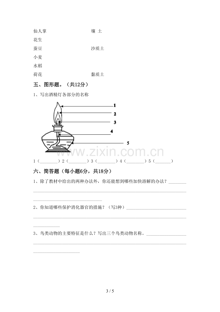 新人教版三年级科学下册期中试卷及答案.doc_第3页